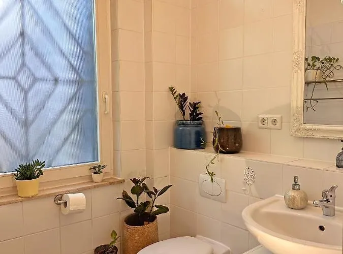 Mediterrane Eg-wohnung / Basf-naehe / 650mbit Wlan Appartement