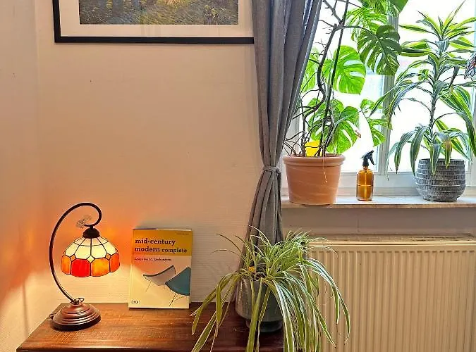 Mediterrane Eg-wohnung / Basf-nähe / 650mbit Wlan